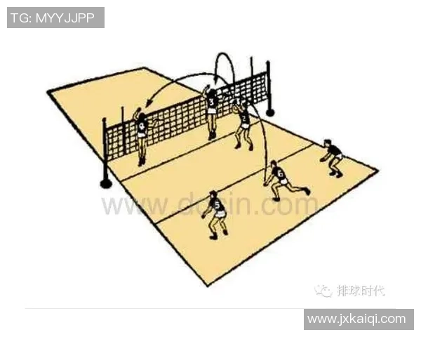 广州排球队反击战术解析与实战应用的深度分析